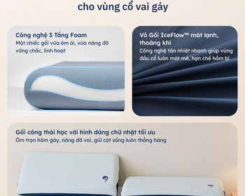 Gối Công Thái Học Align
