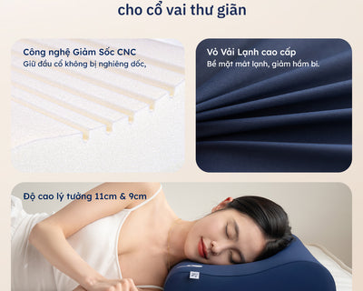 Gối Công Thái Học Wave