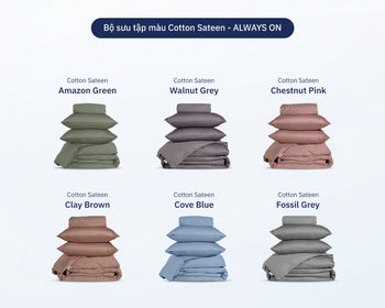 Combo Ga Giường Cotton