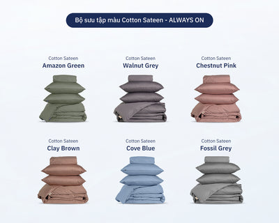 Combo Ga Giường Cotton