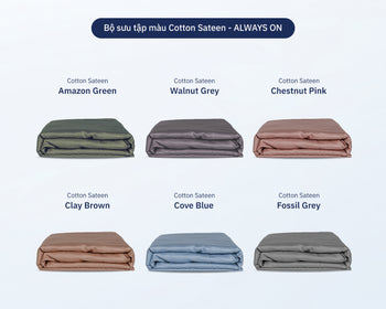 Vỏ Ga Nệm Cotton Sateen