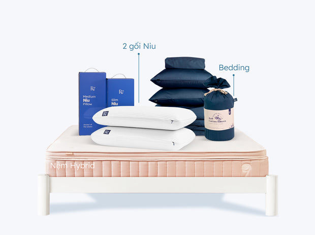 Combo Nhịp Ngủ Dịu Êm