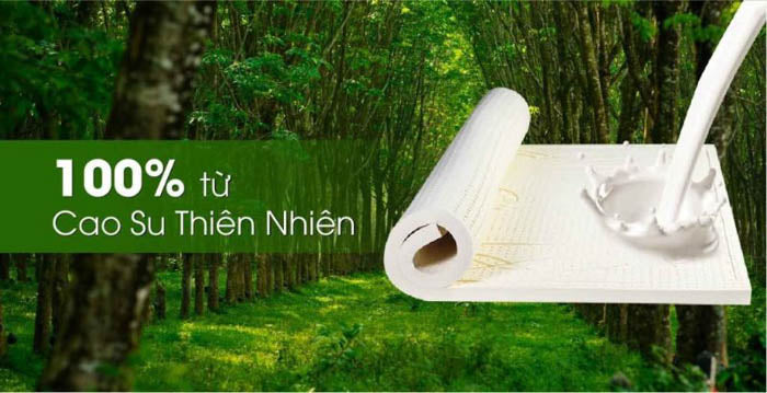 Nệm cao su hãng nào tốt? Review top 6 nệm cao su rẻ mà tốt