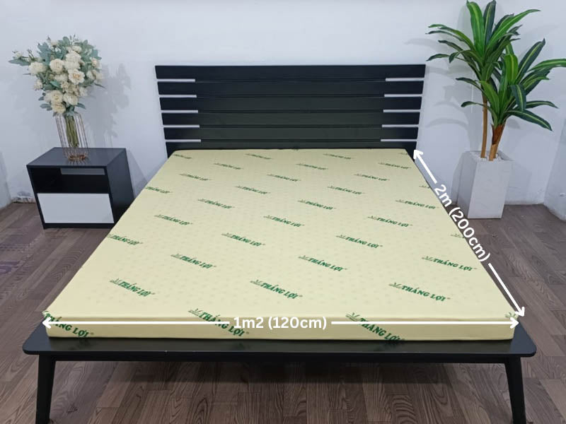 Bảng giá nệm cao su non 1m2 x 2m giá rẻ, chính hãng 2025