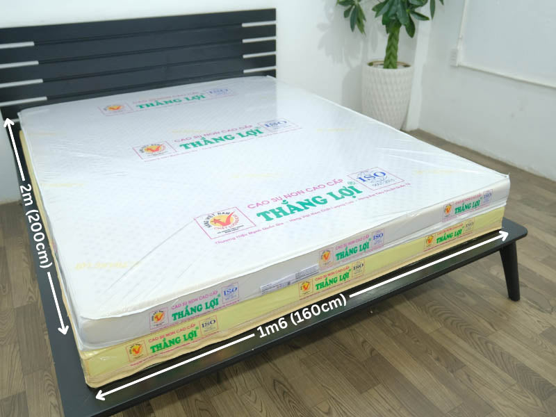 Bảng giá nệm cao su non 1m6 x 2m giá rẻ, chính hãng 2025