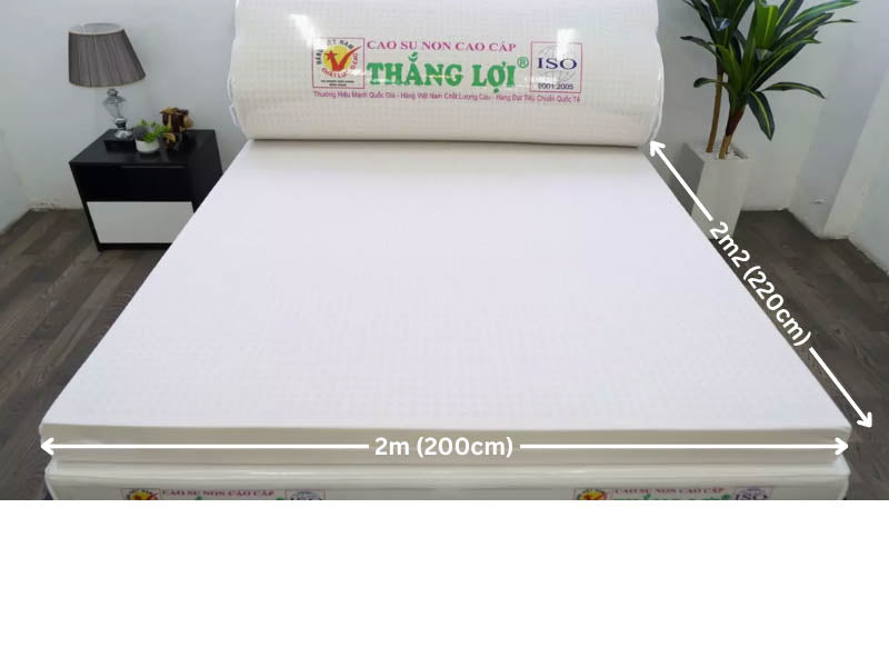 Bảng giá nệm cao su non 2m x 2m2 giá rẻ, chính hãng 2025