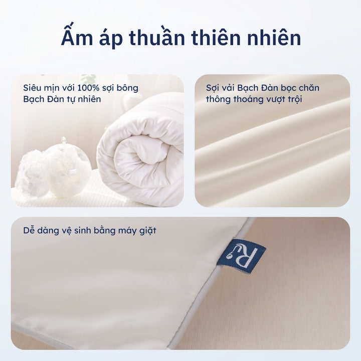 Combo Chăn Bạch Đàn + Set Vỏ Chăn Ga Gối Tencel