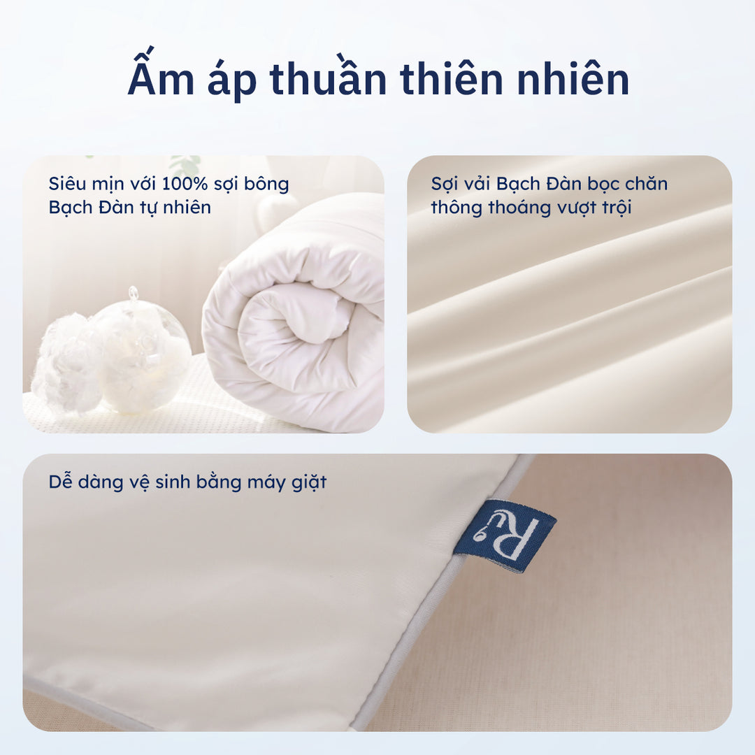 Combo Chăn Bạch Đàn + Set Vỏ Chăn Ga Gối Cotton Sateen
