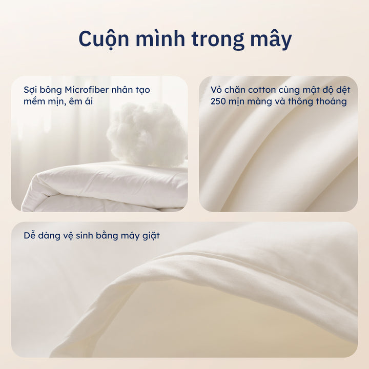 Combo Chăn Mây Everyday + Set Vỏ Chăn Ga Gối Cotton Sateen