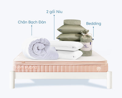 Combo Nhịp Ngủ Dịu Êm