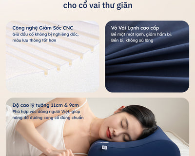 Gối Công Thái Học Wave