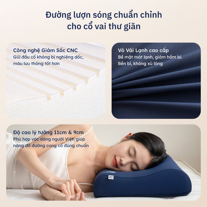 Gối Công Thái Học Wave