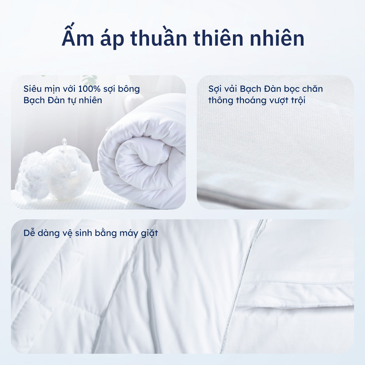 Chăn Bạch Đàn
