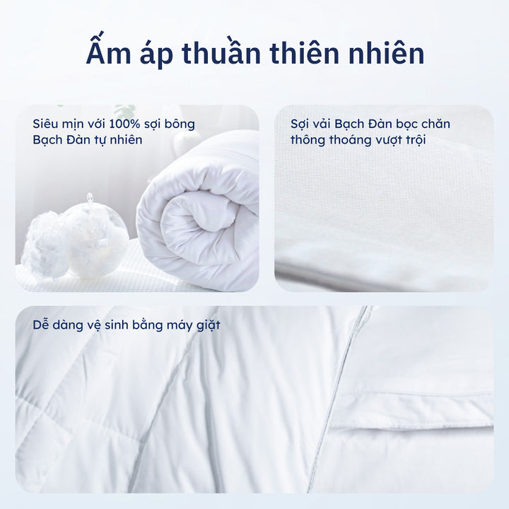 Chăn Bạch Đàn