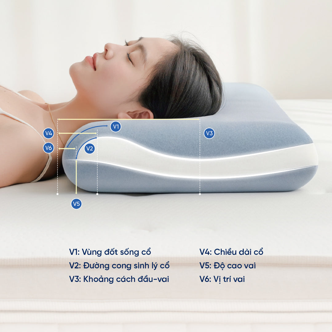 Gối Công Thái Học Align