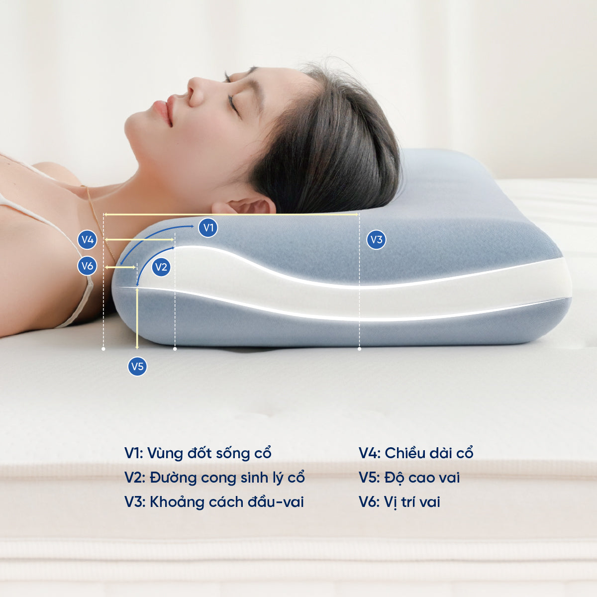 Gối Công Thái Học Align