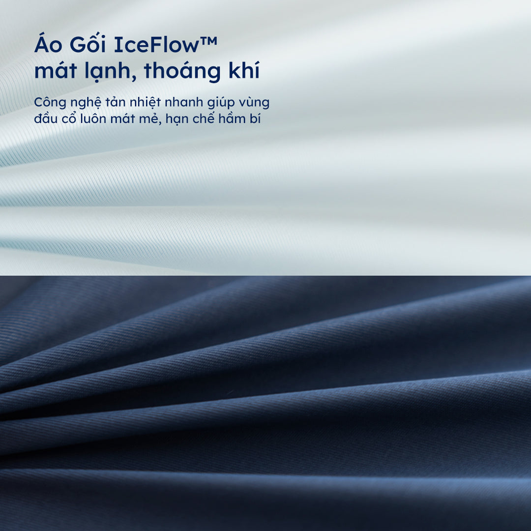 Gối Công Thái Học Align