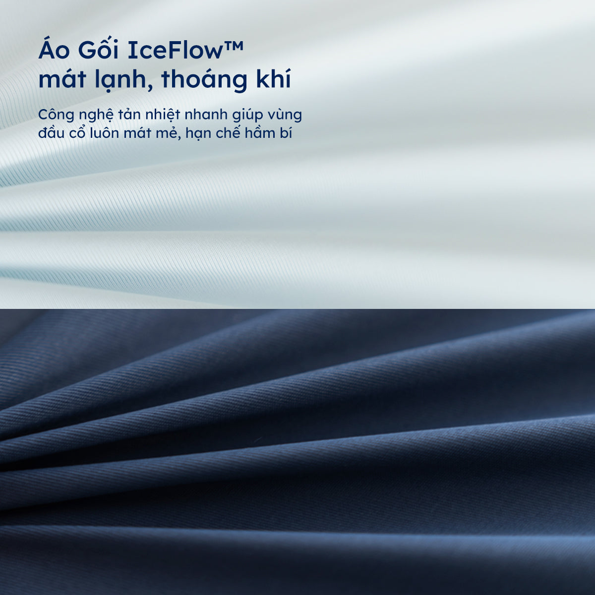 Gối Công Thái Học Align