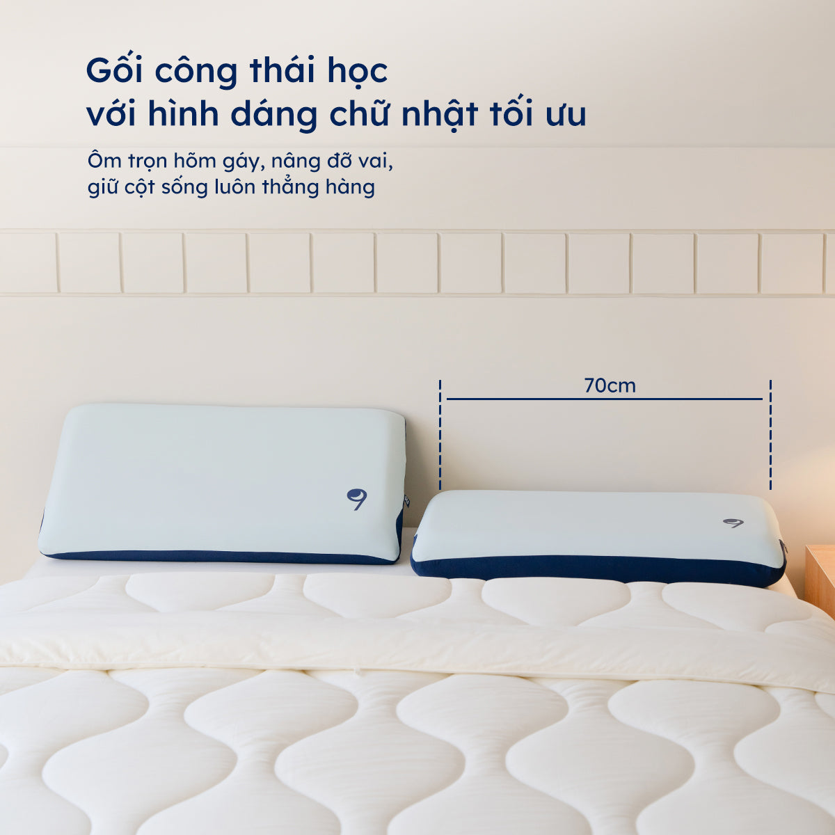 Gối Công Thái Học Align