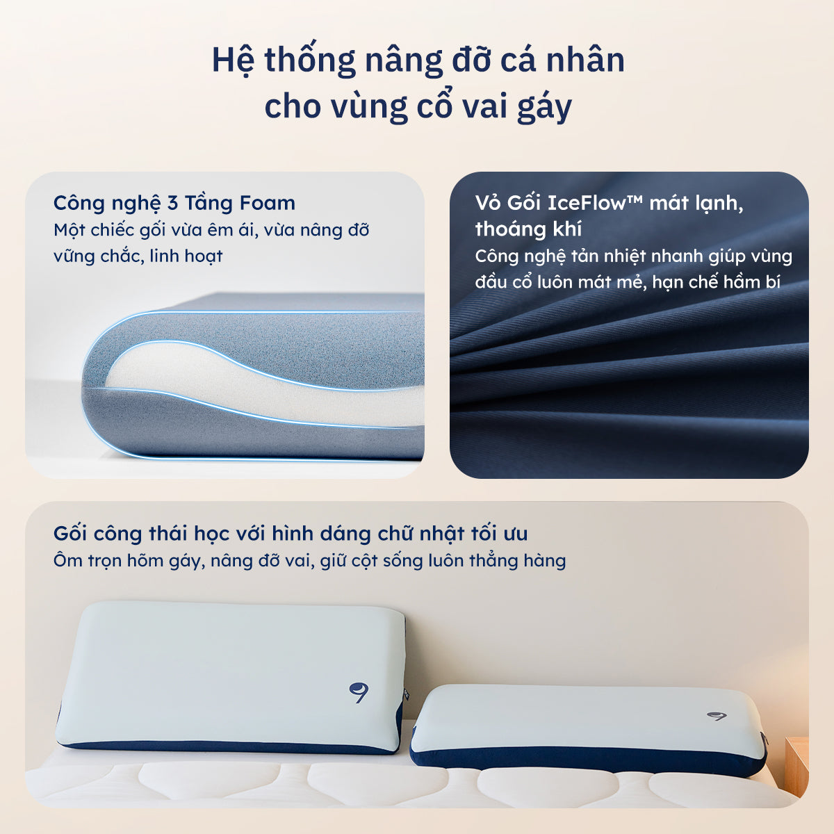 Gối Công Thái Học Align