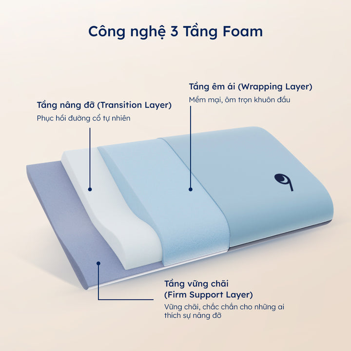 Gối Công Thái Học Align