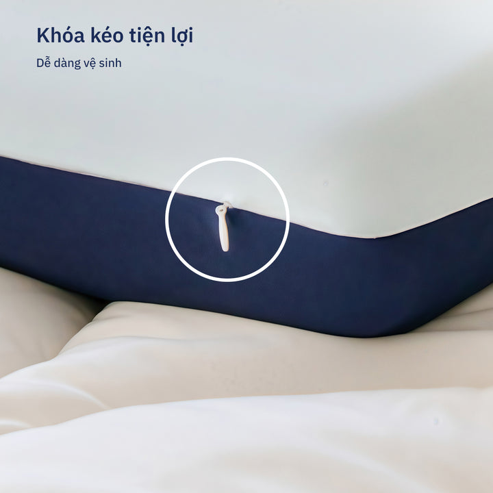 Gối Công Thái Học Align