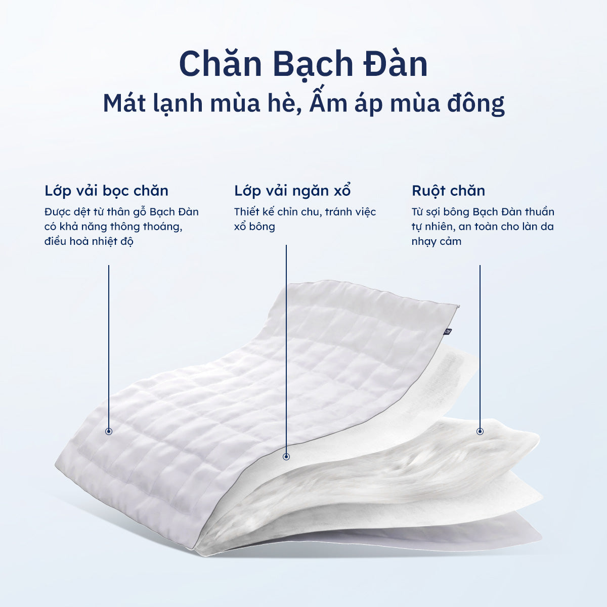 Chăn Bạch Đàn