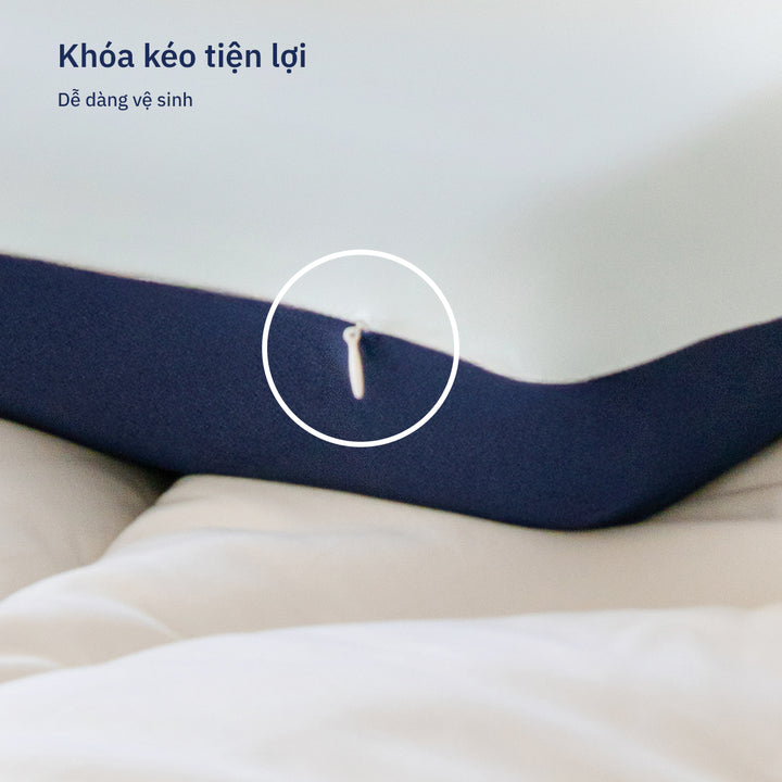 Gối Công Thái Học Align