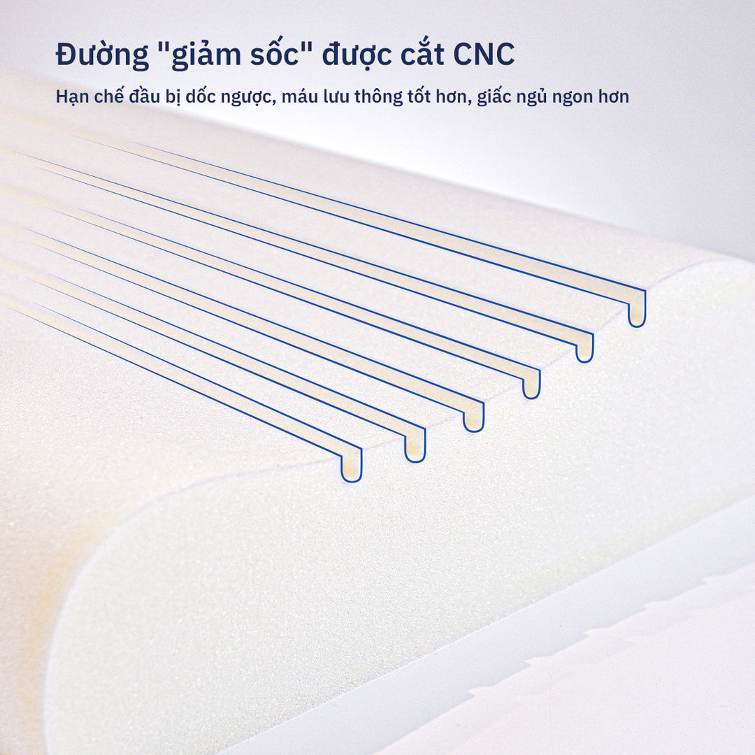 Gối Công Thái Học Wave