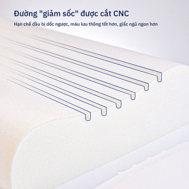 Gối Công Thái Học Wave