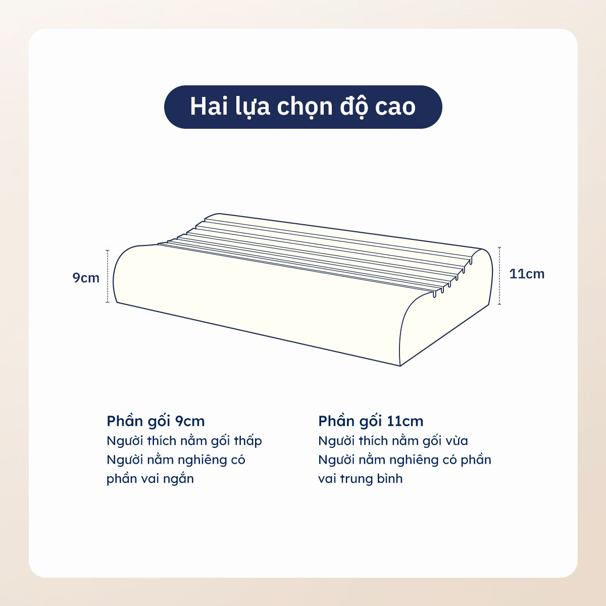 Gối Công Thái Học Wave