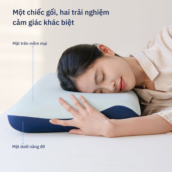 Gối Công Thái Học Align