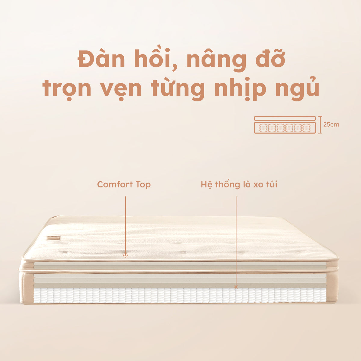 Nảy nhẹ, đỡ chắc