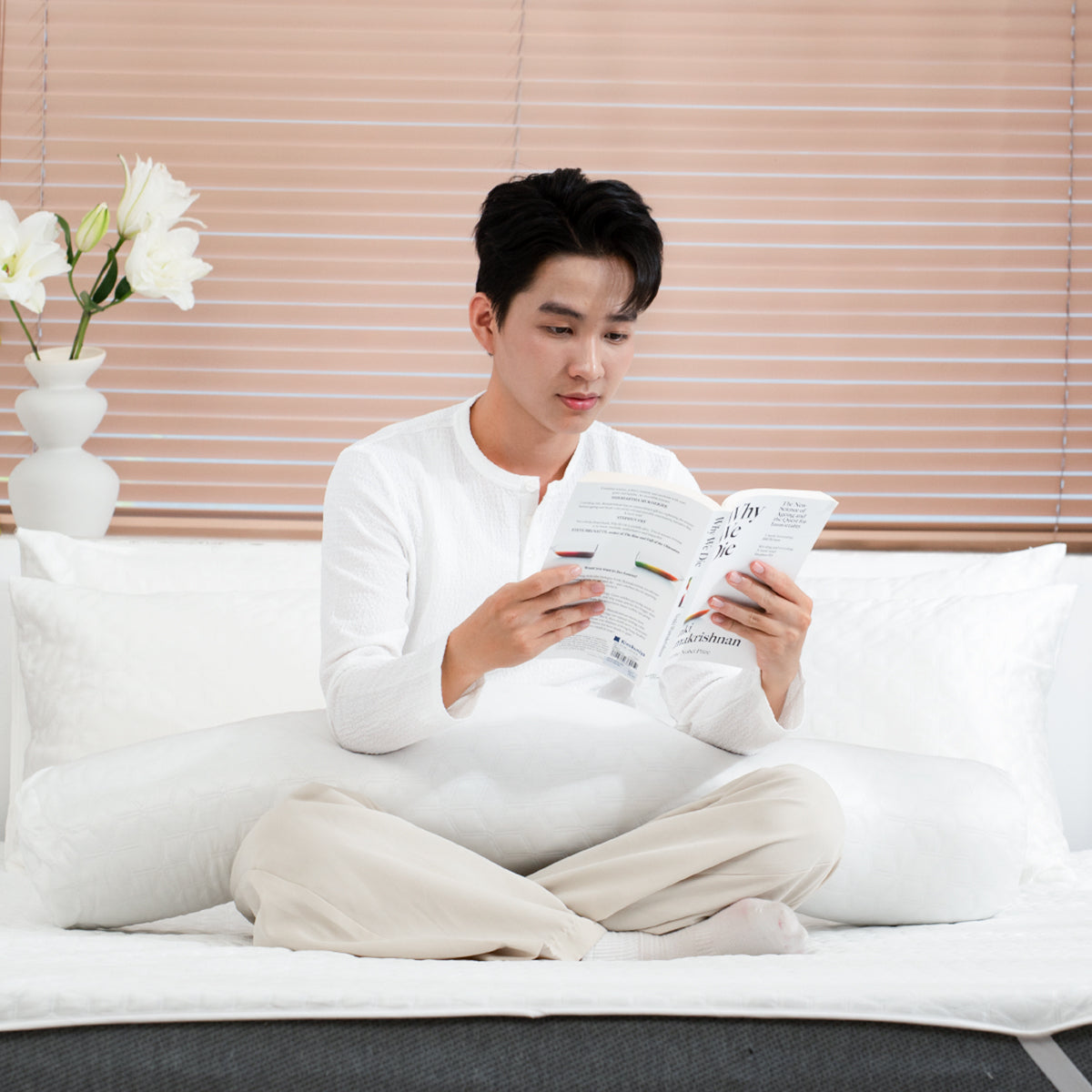 Vỏ Gối Ôm IceFiber™