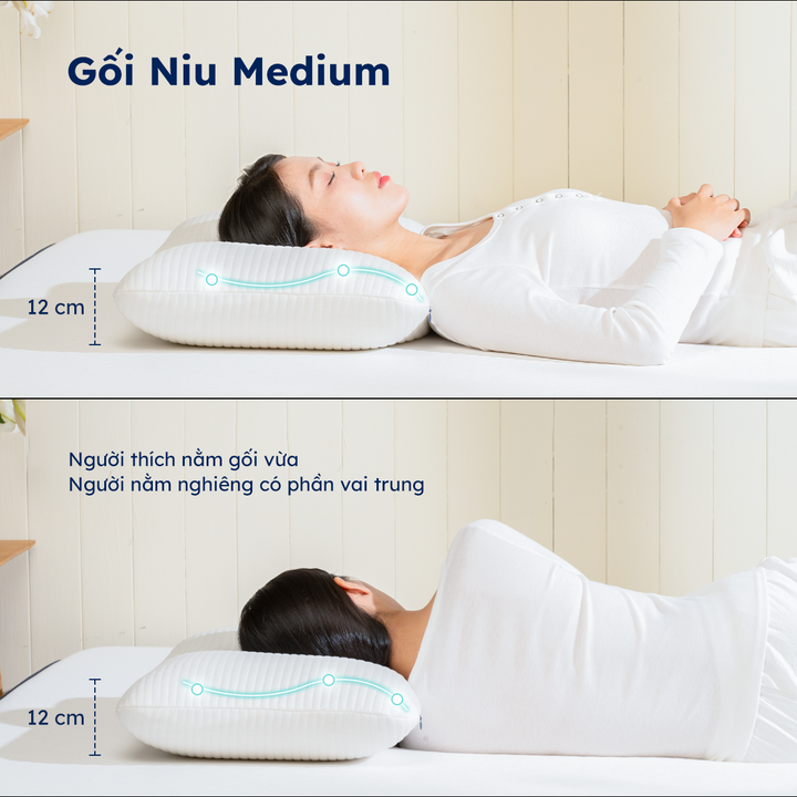 Gối Niu 2.0