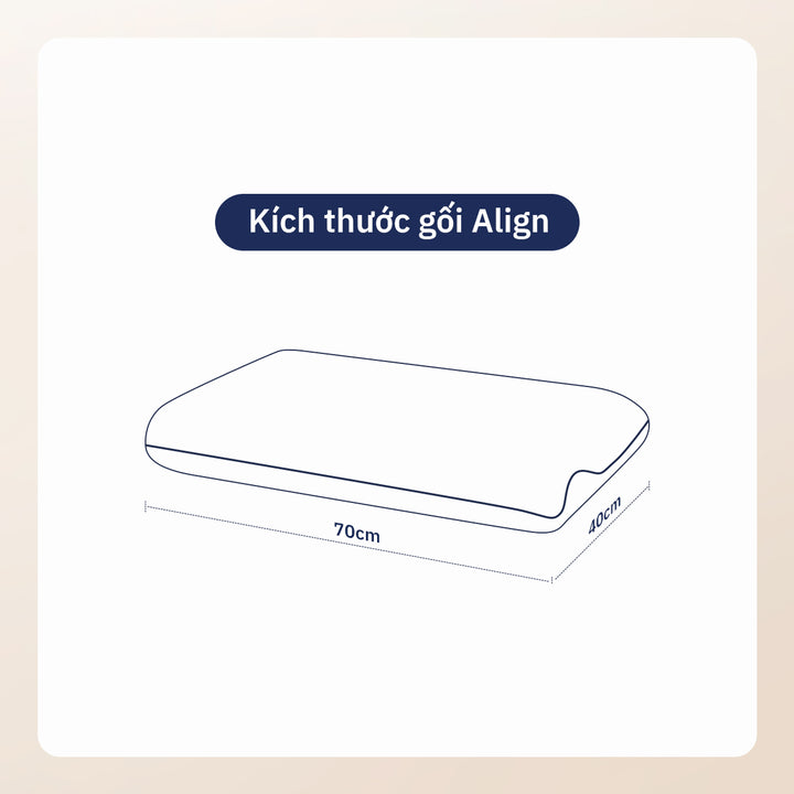 Gối Công Thái Học Align