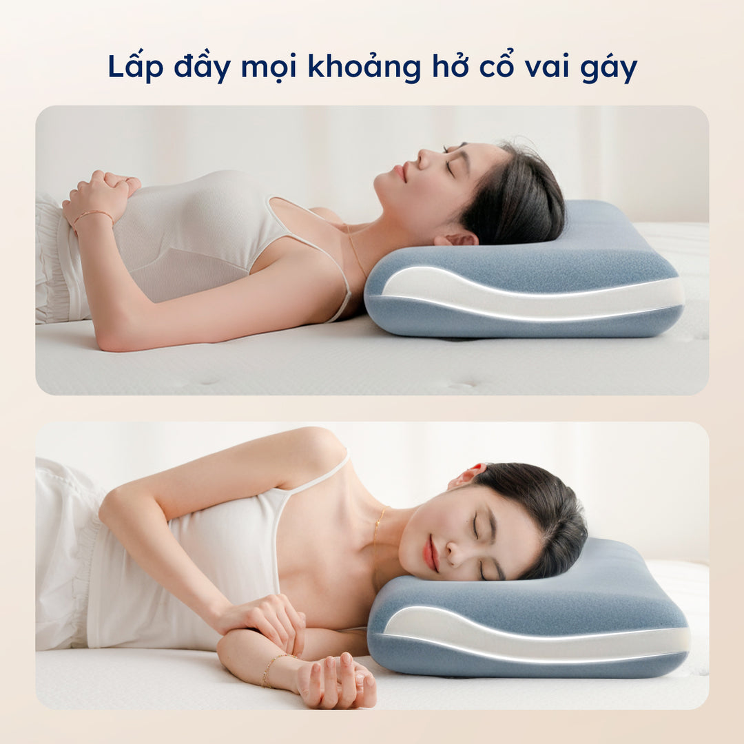 Gối Công Thái Học Align