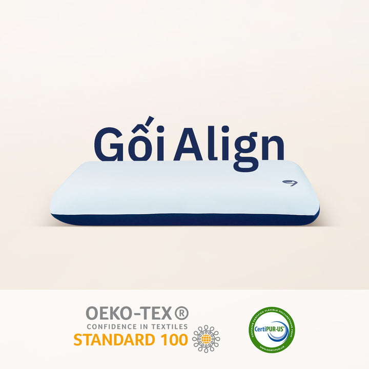 Gối Công Thái Học Align