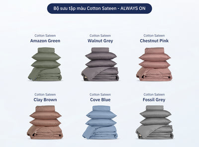 Combo Phối Màu Bộ Ga Giường Cotton