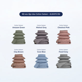 Combo Phối Màu Bộ Ga Giường Cotton