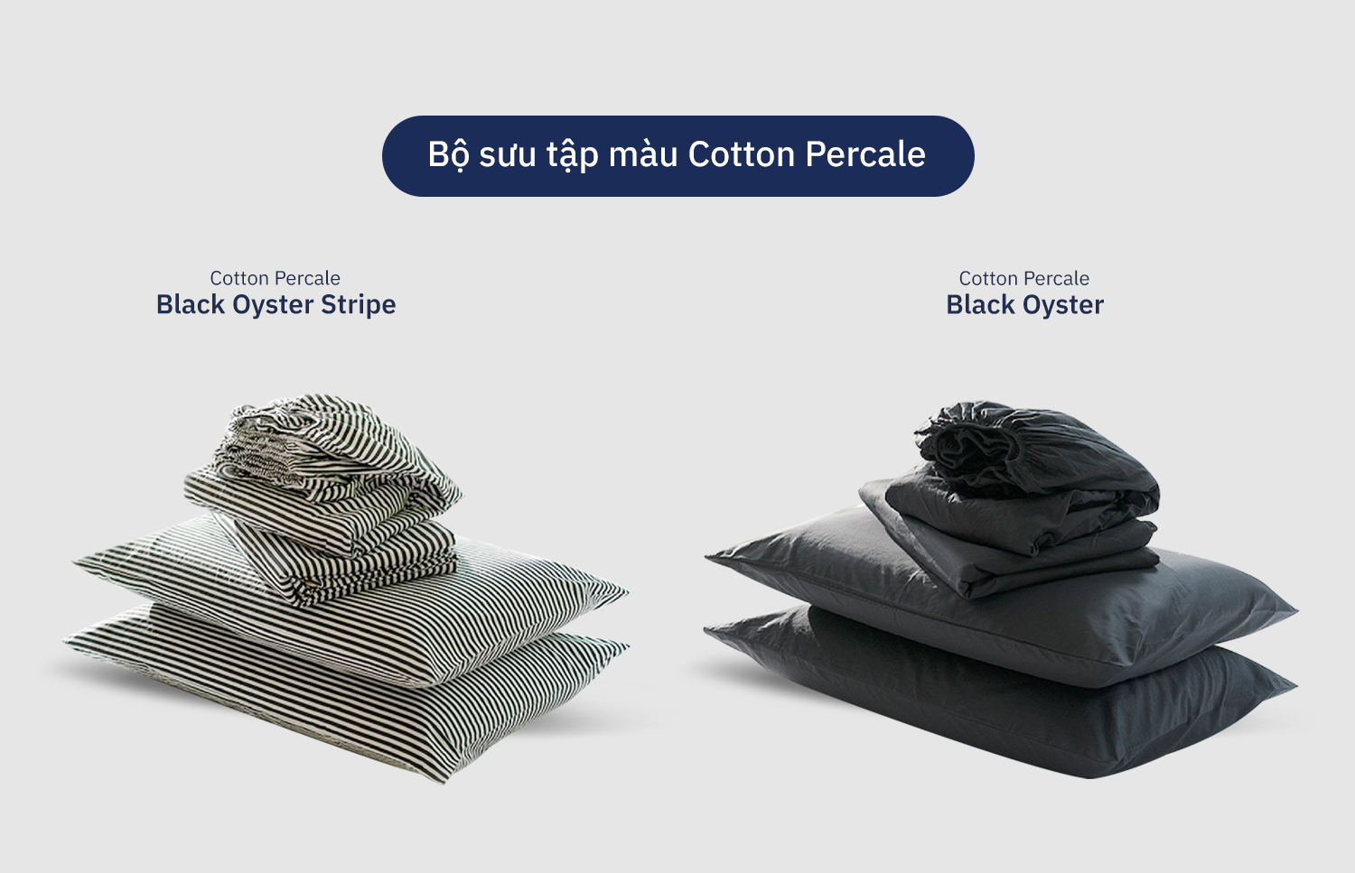 Bộ Ga Giường Percale