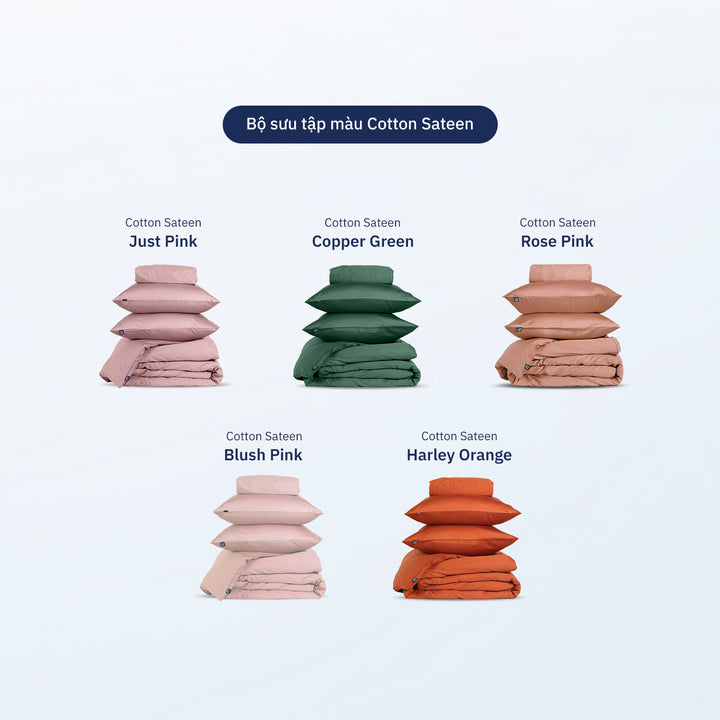 Combo Ga Giường Cotton