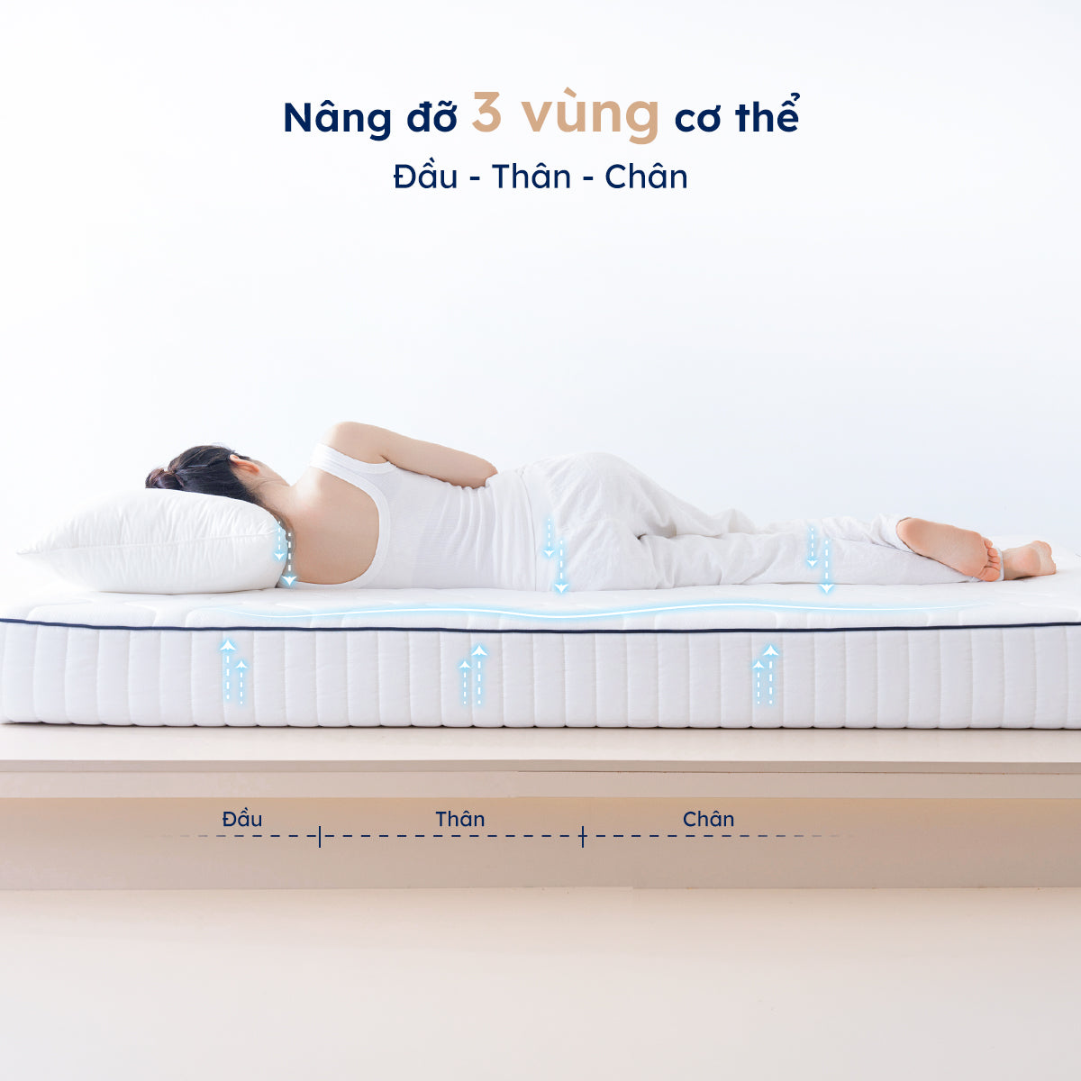 Vai mềm, thân vững
