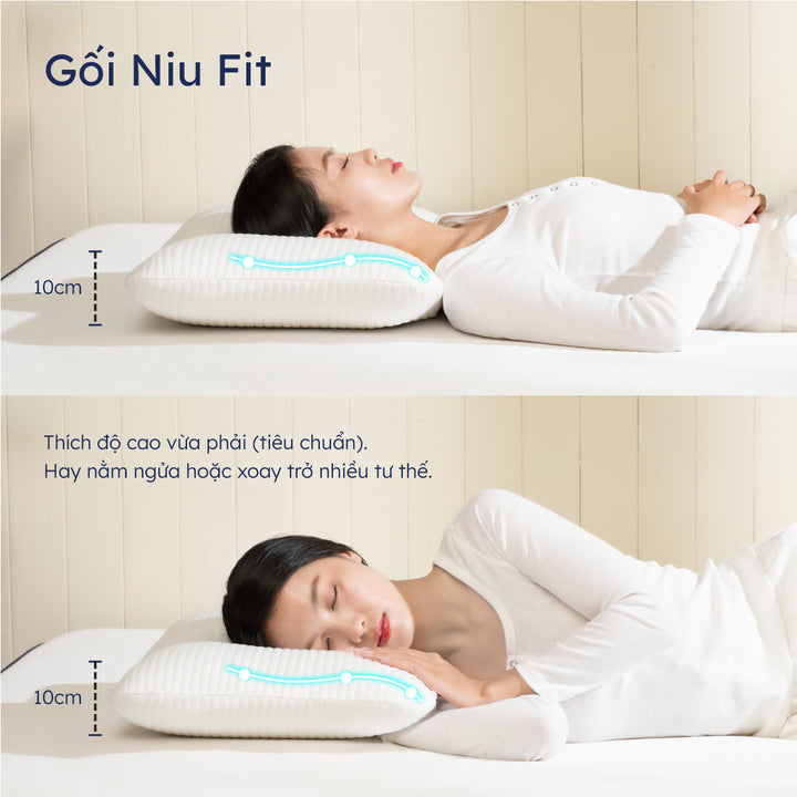 Gối Niu 2.0