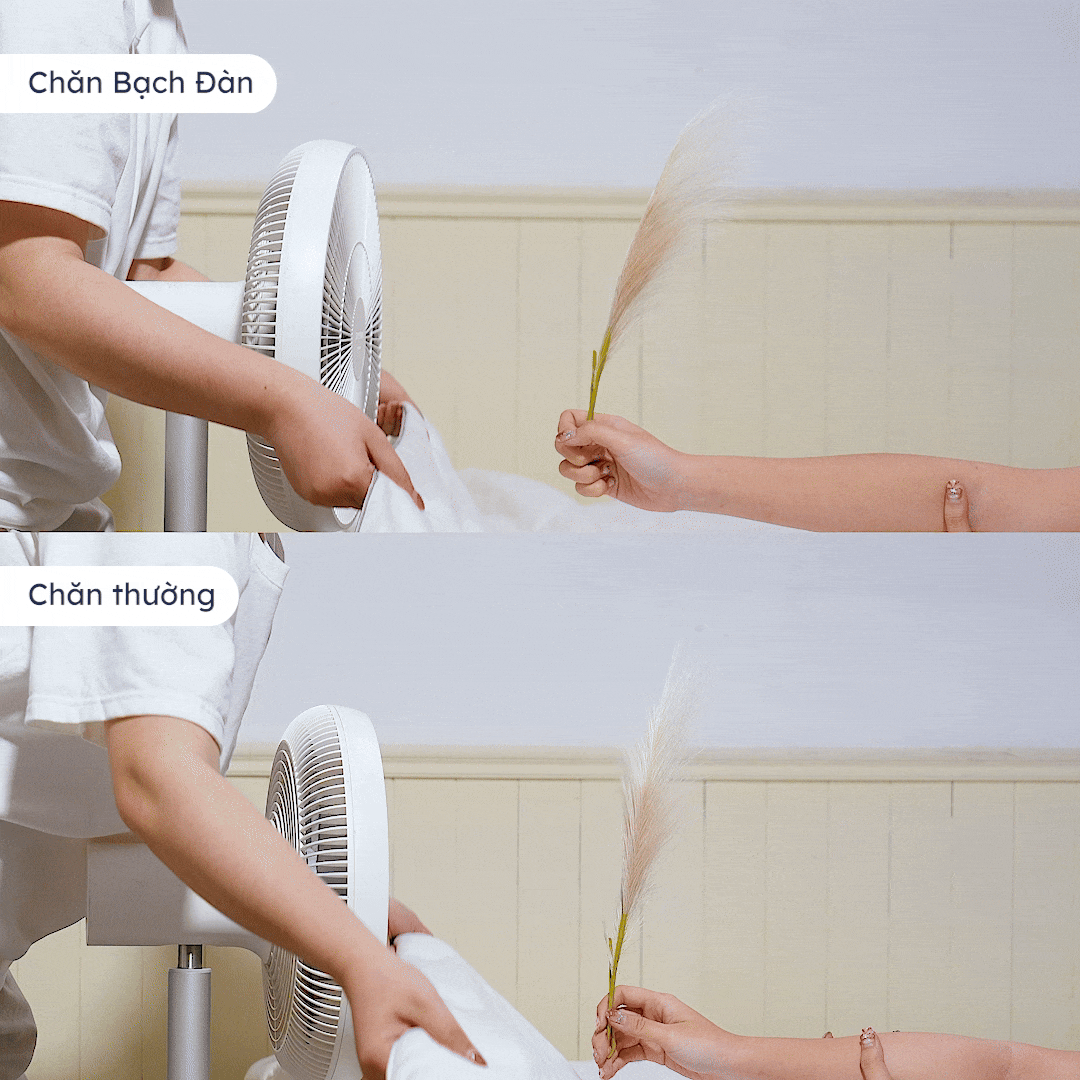 Thông thoáng tối ưu, hạn chế vón cục hiệu quả