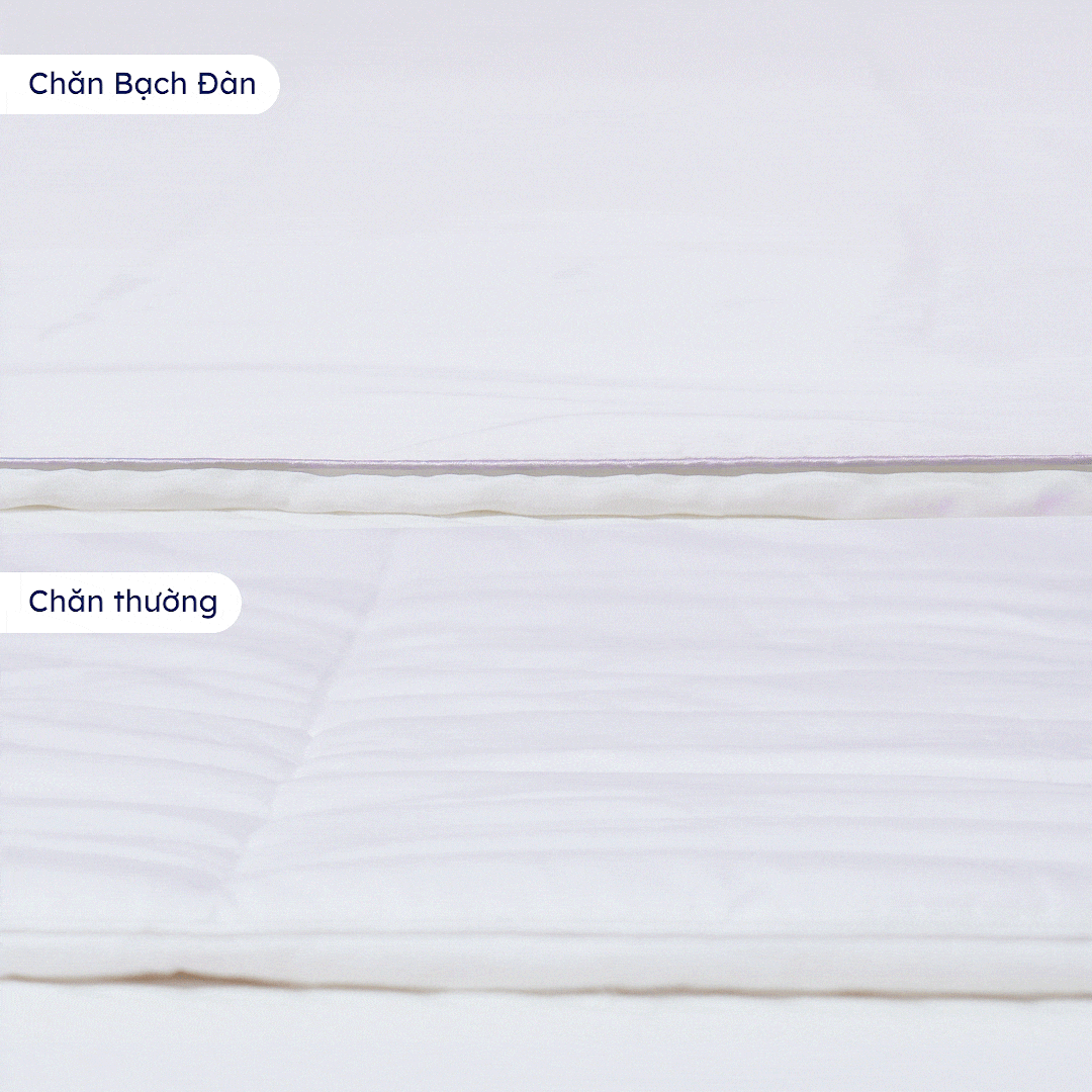 Chỉn chu từ bông đến vải bọc chăn