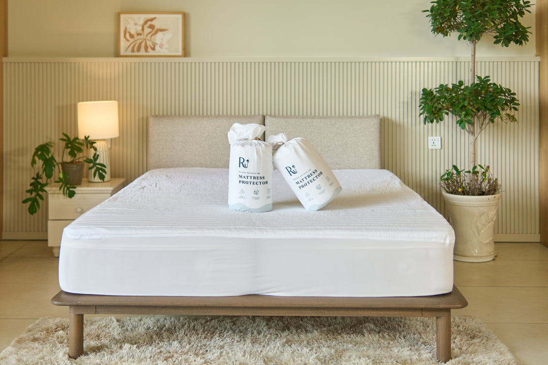 Combo Nệm + Ga Chống Thấm