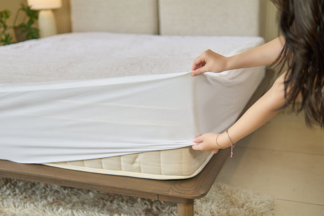 Combo Nệm + Ga Chống Thấm