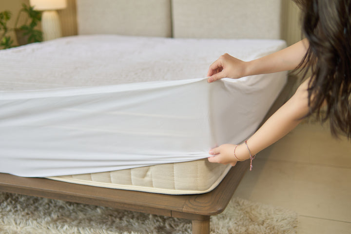 Combo Nệm + Ga Chống Thấm
