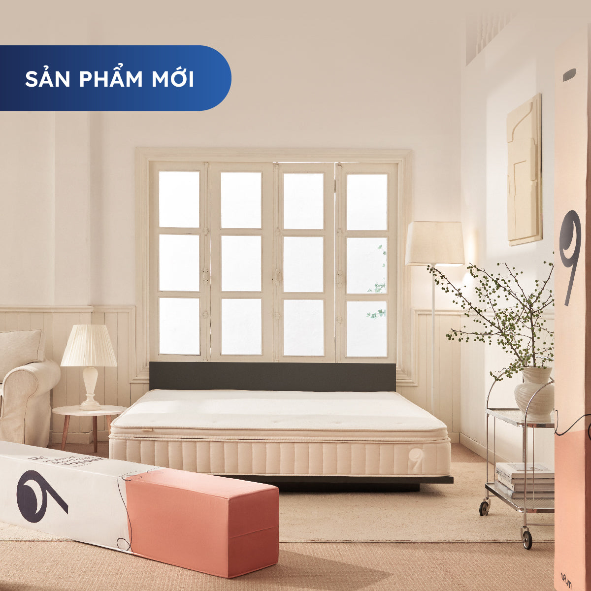 Mua Bán, Thanh Lý Nệm Cũ Hàng Chất Lượng Cao Giá Rẻ